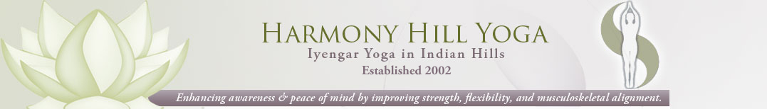 Harmony Hills Yoga Enhancing Awareness and Peace of Mind by improving Strength, Flexibility and Musculoskeletal Alignment